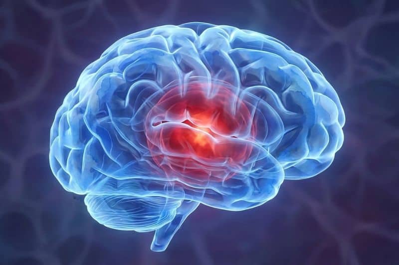 Gehirn mit aktivierter Amygdala – warum der Verstand bei Triggern abschaltet